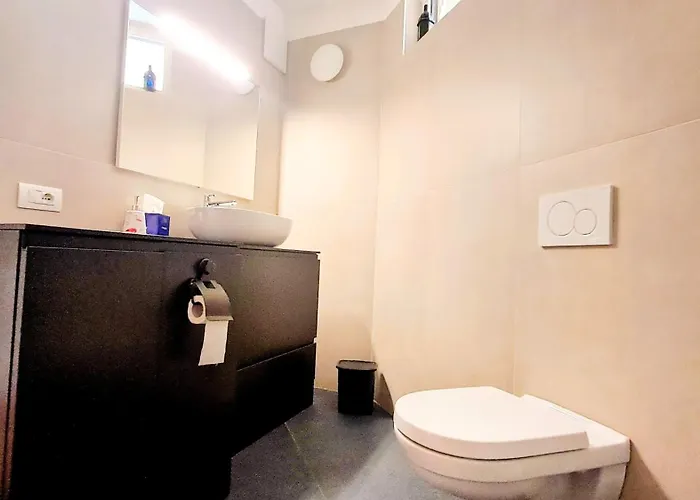 公寓 New Alps View Design Flat - Free Parking, Quiet, Hospital & Center 特伦托