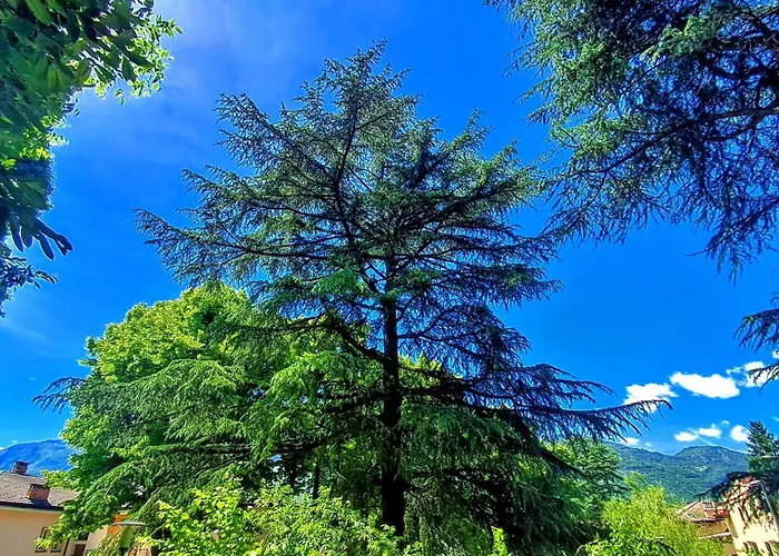 New Alps View Design Flat - Free Parking, Quiet, Hospital & Center *